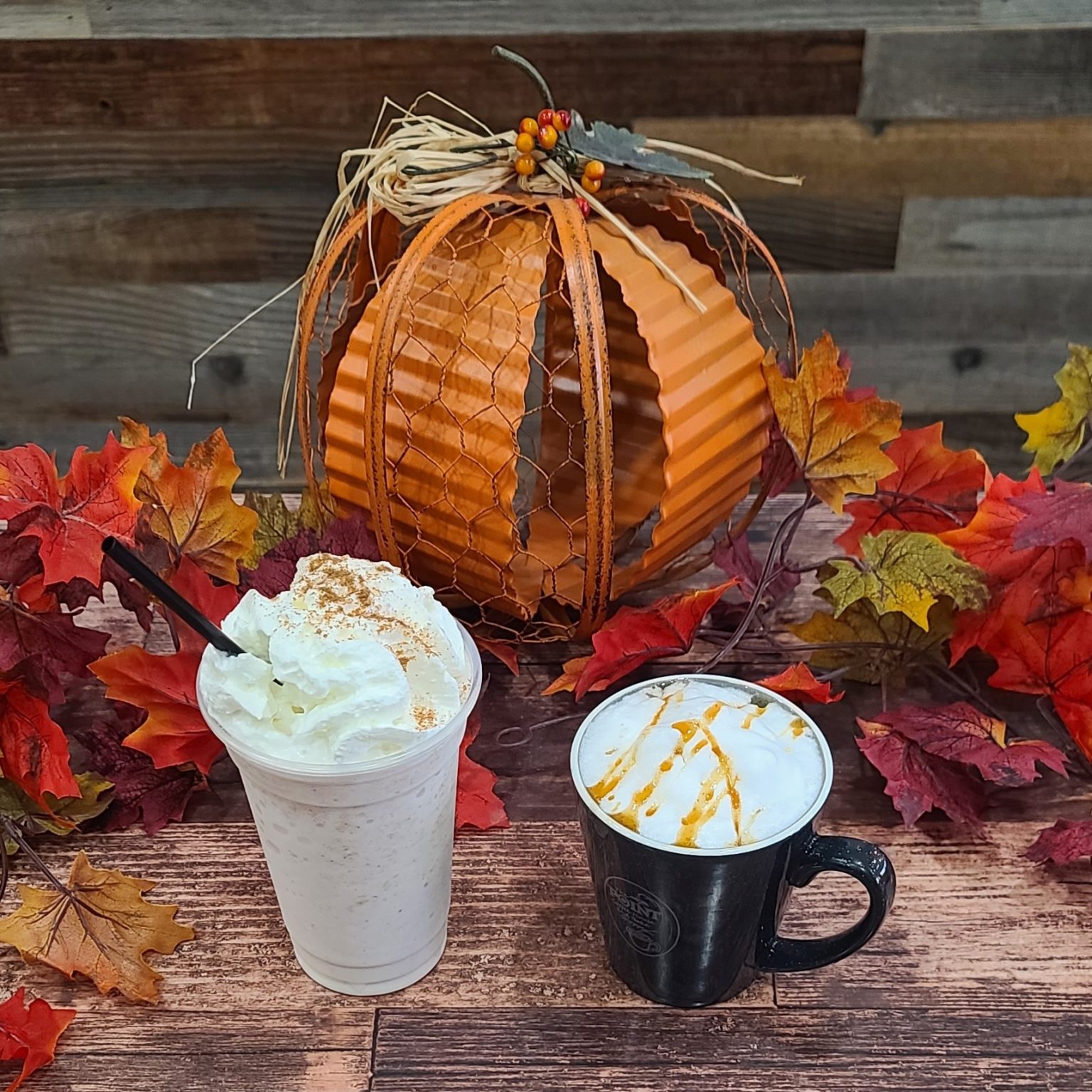 Rehoboth Beach Coffee Shop & Roaster The Point Coffee House and Bake Shoppe